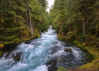 AGUA, LITERATURA Y POESÍA. Por Ulises Paniagua (*)