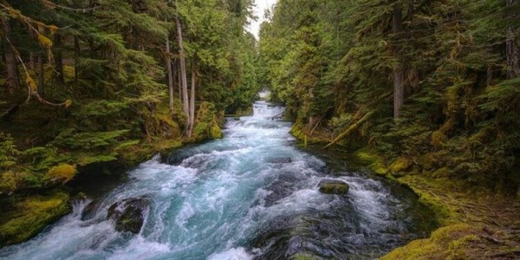 AGUA, LITERATURA Y POESÍA. Por Ulises Paniagua (*)