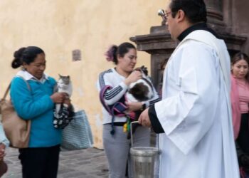17 DE ENERO: DÍA MUNDIAL DE BENDECIR ANIMALES TAMBIÉN SE CELEBRA EN MÉXICO
