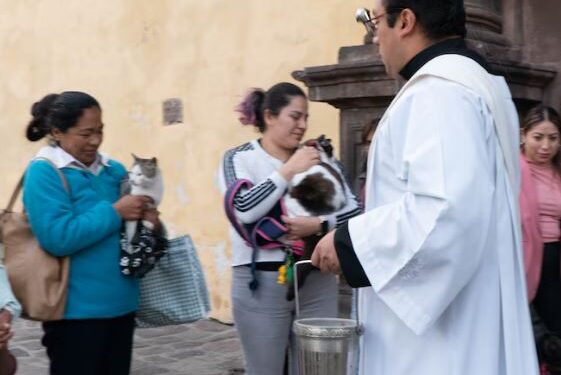 17 DE ENERO: DÍA MUNDIAL DE BENDECIR ANIMALES TAMBIÉN SE CELEBRA EN MÉXICO