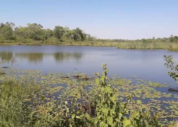 ECOLOGIA BOLIVIANA: EL RIO QUE RESPIRA BAJO EL CEMENTO (Crónica). Por Mercedes Fernández (*)