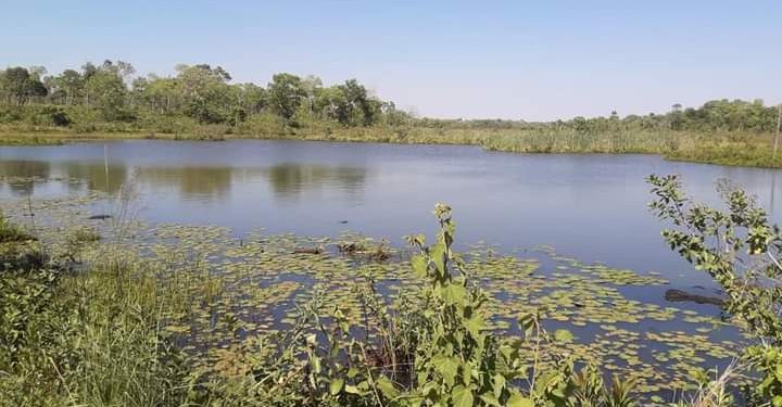 ECOLOGIA BOLIVIANA: EL RIO QUE RESPIRA BAJO EL CEMENTO (Crónica). Por Mercedes Fernández (*)