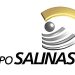 SALINAS PLIEGO EN ENERO DEBERÁ PAGAR IMPUESTOS POR 51 MIL MDP
