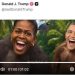 TRUMP PUBLICA Y LUEGO BORRA VIDEO DE OBAMA Y MICHELLE COMO MONOS